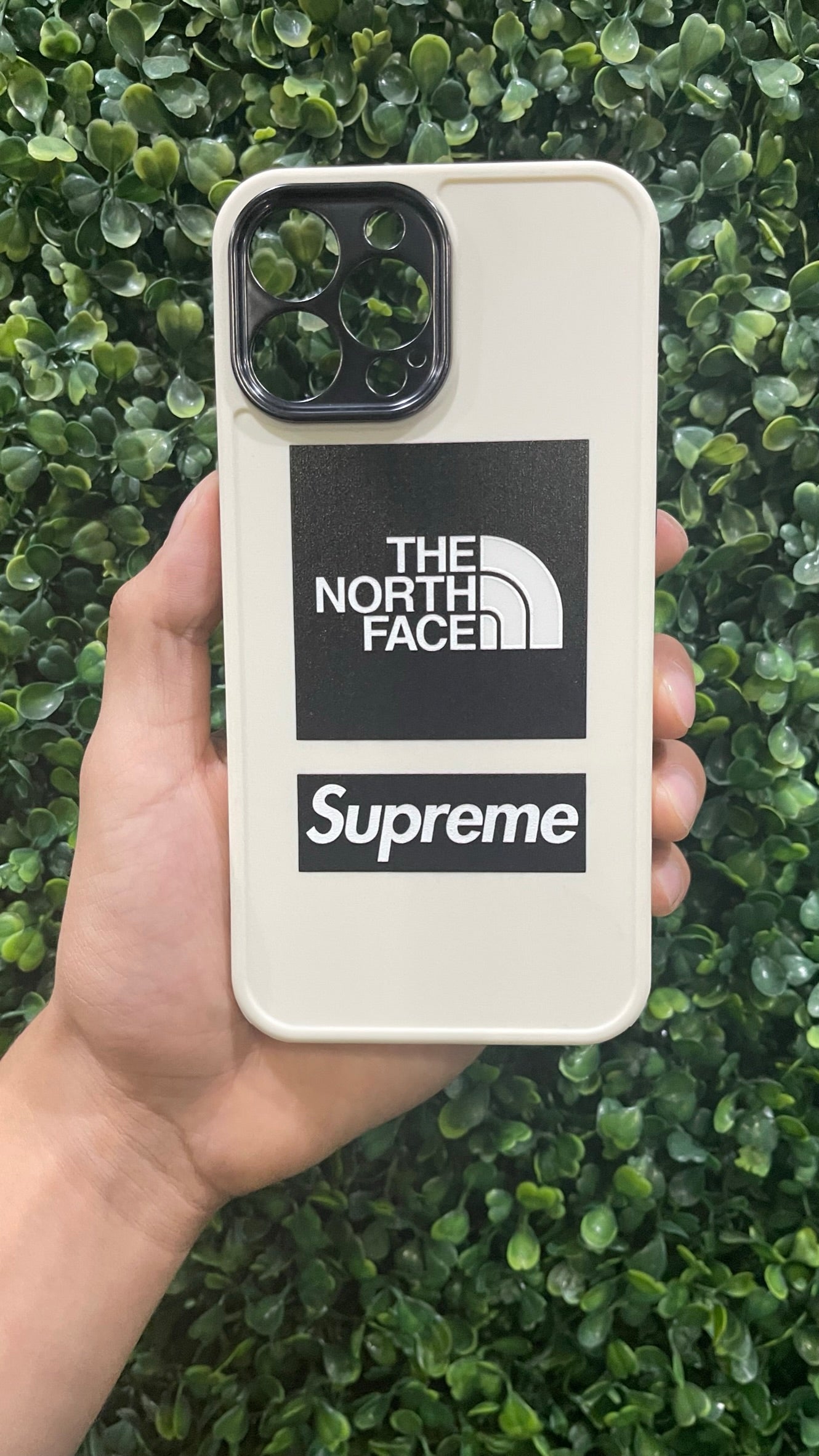 Supreme x north face